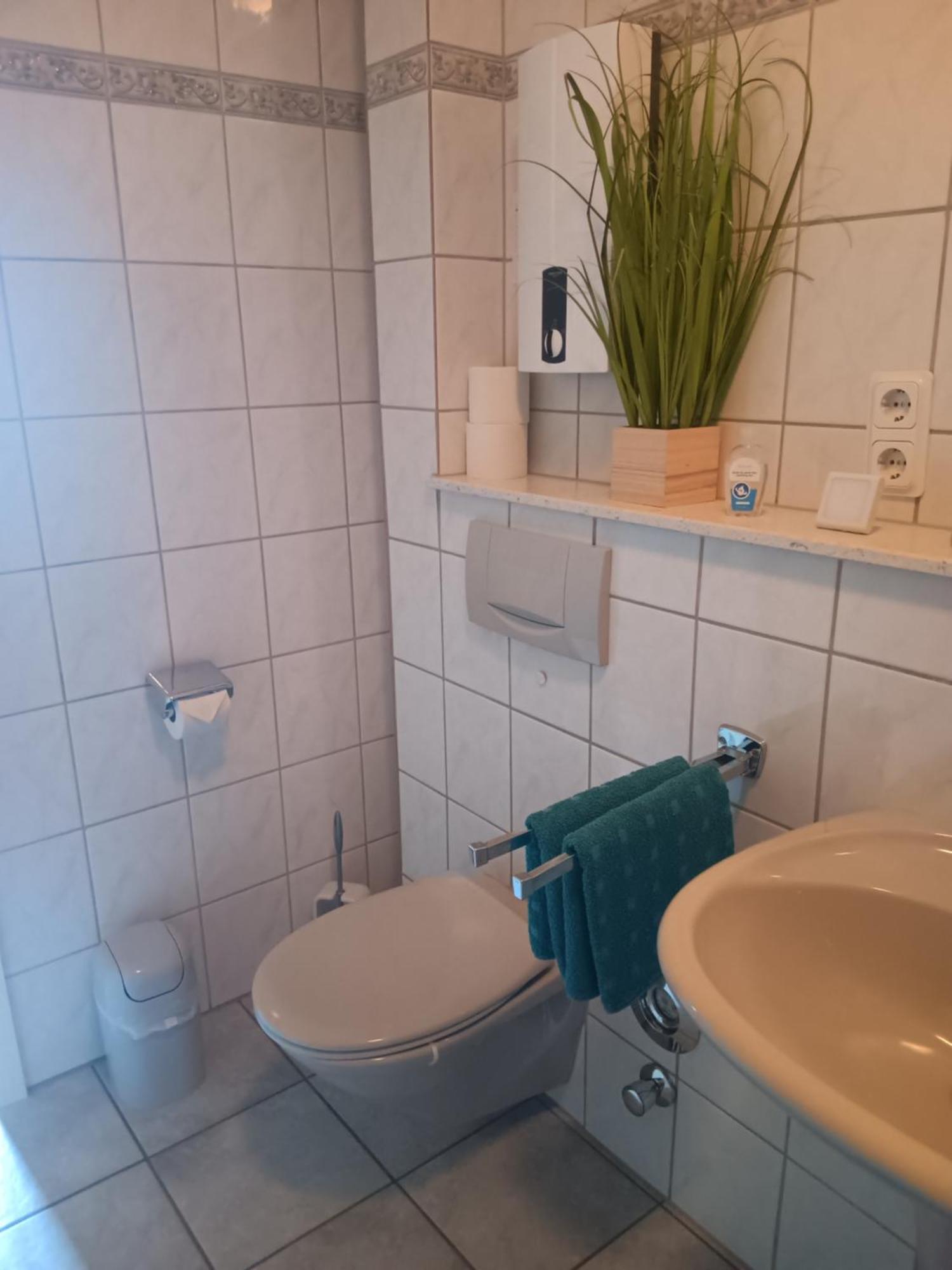 Ferienwohnung Mattheiser Weiher Trier Eksteriør billede